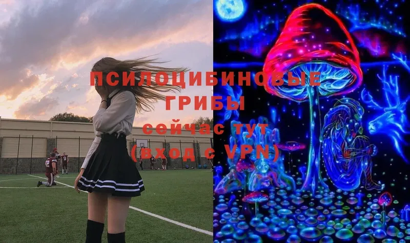 Галлюциногенные грибы Magic Shrooms  МЕГА вход  shop клад  Моздок 